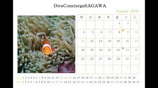 DiveCoDiveConcierge 2025calendar