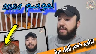 تزاوج ذكر كناري لأول مرة مع أنثى الكناري لموسم 2024 بطريقة بسيطة(للمبتدأيين)🌹ذكر بكري🌹