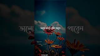 স্ত্রীকে ভালোবাসা,স্ত্রীর সাথে ভালো ব্যবহার করার ফযিলত?