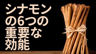 シナモンの6つの重要な効能 | 利点 Benefits - Japanese