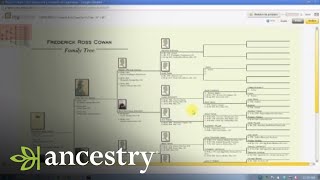 Clean Up Your Family Tree | Ancestry