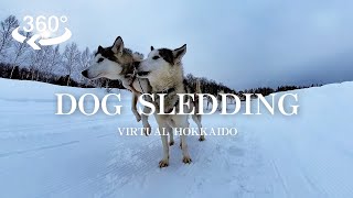 【VR】Dog Sledding