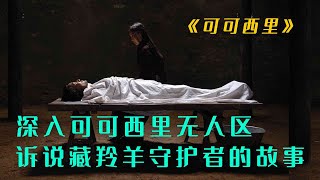 《可可西里》深入可可西里无人区，记录藏羚羊守护者的传奇故事