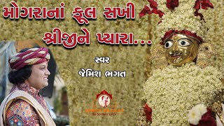 મોગરા ના ફૂલ સખી મોગરા ના ફૂલ || Mogra Na Ful Sakhi Mogra Na Full || #jemishbhagat #jagran #kirtan