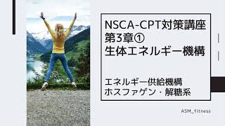 NSCA-CPT対策講座第3章①ホスファゲン機構と解糖系