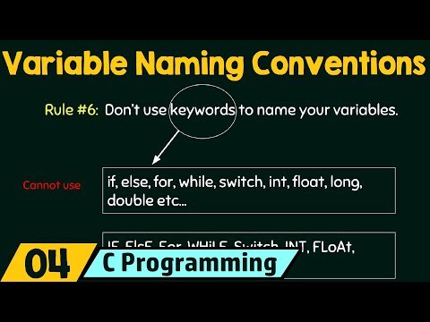 What is another name for variable?