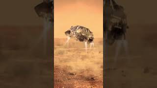 Mars perseverance rover capture The process of launching a flying saucer on the surface of mars