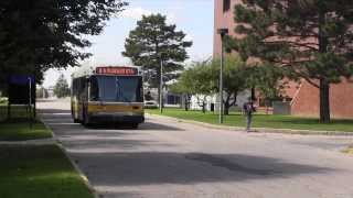 Taking Public Transportation to UMass Boston