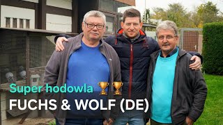 FUCHS \u0026 WOLF - Mistrzowska hodowla gołębi z Niemiec 🔝🏆🇩🇪