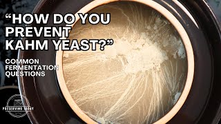 How Do You Prevent Kahm Yeast? | Common Fermentation Questions