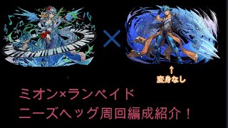 【パズドラ】3コンボ加算が便利！ミオン×ランペイドでニーズヘッグ周回！