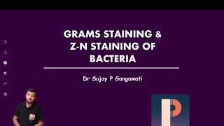 Gram staining and ZN staining for DMLT