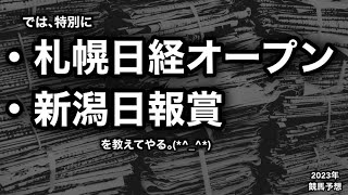 札幌日経オープン2023・新潟日報賞2023 [競馬予想]