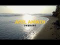 oneking apel amwin audio