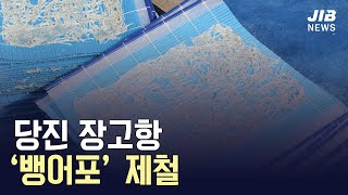 [JIB뉴스] 당진 장고항 ‘뱅어포’ 제철 l 220428