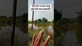 ପିଲା ଦିନ ର କଥା ମନକୁ ପୁଣି ଆସି ତାଜା ହେଇଗଲି#odiavlog #odiablogger #odisha