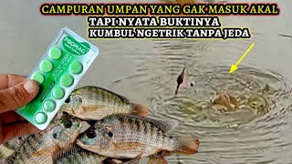 Campur Umpan Ikan Nila yang direkomendasikan DOLAN CHANNEL terbukti Gacor