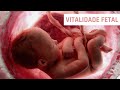 Vitalidade Fetal