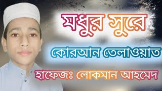 কোরআন তেলাওয়াত| হাফেজ লোকমান আহমদ শিক্ষার্থী জামিয়া সিরাজুল উলুম মাদ্রাসা।