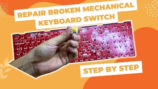 DIY Keyboard Repair: iKBC Mechanical Keyboard Troubleshooting