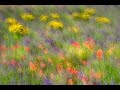 Multiple Exposures: You Keep Shooting with Bryan Peterson: AdoramaTV
