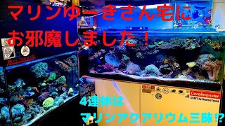 「海水魚水槽」マリンゆーきさん宅にお邪魔しました！