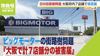 ビッグモーターの街路樹問題『大阪で計７店舗分の被害届』吉村知事「許されないです」（2023年10月3日）