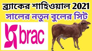 #Brac ব্র্যাকের 2021 সালের নতুন 100%  শাহিওয়াল ও ৭৫%-৮৭.৫% ফ্রিজিয়ান বুল সিট দেখুন🐂🐄