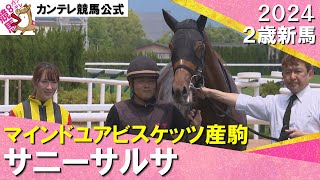 7番人気サニーサルサが逃げ切りデビュー勝ち！　永島騎手「集中して走れていた」　2024年 6月8日(土)２歳新馬　京都芝1600ｍ　実況：石田一洋【カンテレ公式】