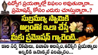 ఉద్యోగం కోసం ఎదురు చేసుతున్నారా... అయితే ఈ పూజ చేయండి || ee puja chesthe udyogam  vasthundi