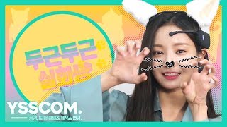 [두근두근 실화냥] 모모랜드 (MOMOLAND) 연우