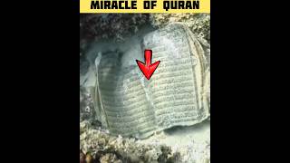 Quran Ka Mojza | Miracle Of Quran #shorts #ytshorts #islamicfacts