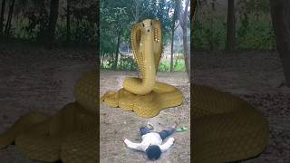 Anaconda Snake in real life 7 #shorts #snake #python #snakes #nagin #anaconda #bigsnake