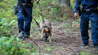 Poliisit Koirapartio Haulikkomiehen pidätys