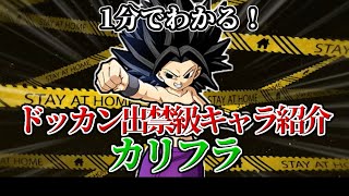 【ドッカンバトル】1分で分かる出禁級キャラ！カリフラ編【比較】