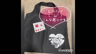 旭川市　漢方相談薬局スタッフお勧め　銀座商店街の買い物で当たった！　サプリの買い物に丁度いいエコバック