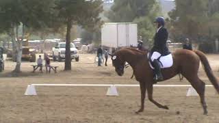 tdfv 2024 0920 Alberto Ranger Dressage Twin Rivers