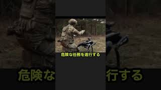 ウクライナのドローン犬#short #ウクライナ #ウクライナ戦争 #ドローン＃ロシア軍