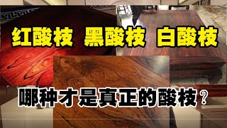 红酸枝，黑酸枝，白酸枝，哪种才是真正的酸枝？它们之间到底是什么关系？