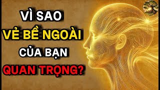 Ngoại Hình của Bạn chính là bản đồ Năng Lượng của linh hồn. Đừng xem thường?!