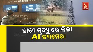 AI Tower Camera Prevents Elephants Death | Rourkela Forest Division Installs 4 AI Technology Cameras