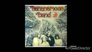 Banana Moon Band- Why Are We Sleeping? - 1968 .