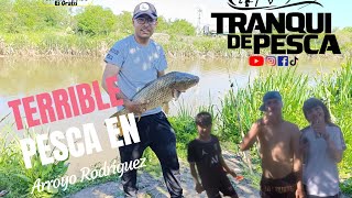 Terrible Pesca en el Arroyo Rodríguez Carpas Bagres Dorados📺 Capitulo N°7️⃣