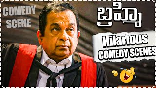 Brahmanandam SuperHit Comedy Scenes | Latest Comedy Scenes | Telugu Comedy Club
