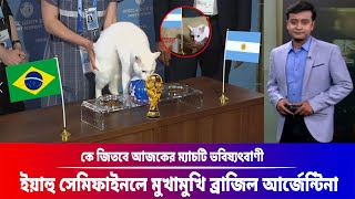 ভবিষ্যৎবাণী! কে জিতবে সেমিফাইনালে ব্রাজিল বনাম আর্জেন্টিনা Brazil Vs Argentina