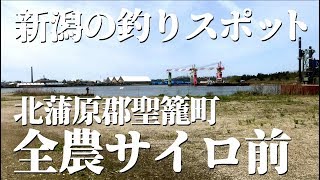 新潟 釣りスポット〈新潟東港 全農サイロ前〉豆アジやキスが狙えるファミリーフィッシングやカップルフィッシングに最適な静かな釣り場です！