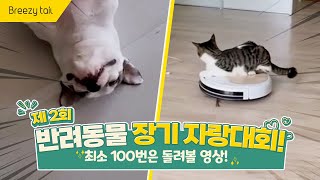 이 세상 귀여움이 아님.. 반려동물 장기 자랑대회 2편 😺🐶🤸🏻‍♀️