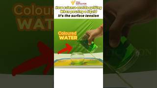 #how #science #avoid #spilling #physics #surface #tension #viral #shorts #vyasedification #trending