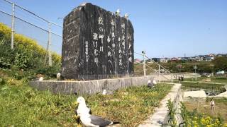 AOMORI Tanesashi Coast \u0026 Fish Market in Hachinohe　種差海岸＆八食センター