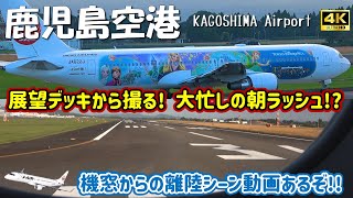 【鹿児島空港】機窓からの離陸動画あるぞ!! 展望デッキから撮る! 大忙しの朝ラッシュ!? RWY34 離着陸シーン ～ KOJ RWY34 Takeoff \u0026 Landing (2024/11/4)